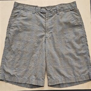Patagonia Men's Blue and Gray Striped Shorts